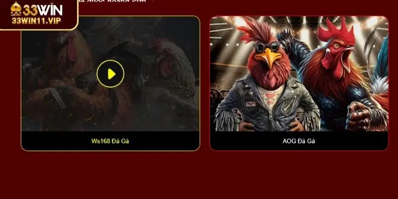 Sảnh cá cược đá gà thịnh hành trên thị trường